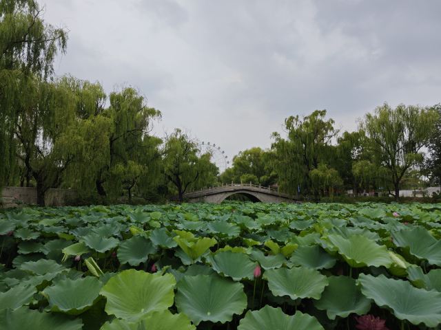 宝泉胜境旅游度假区旅行图片 1