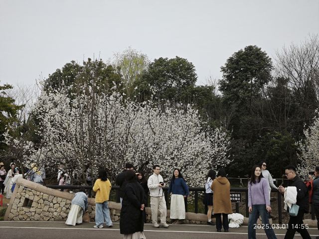 成都植物园旅行图片 2