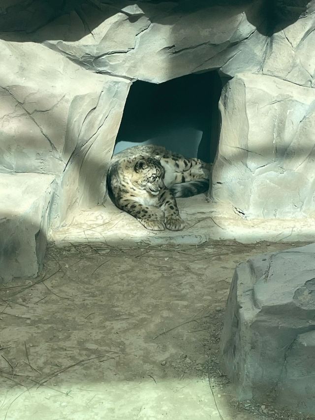 西宁野生动物园旅行图片 3
