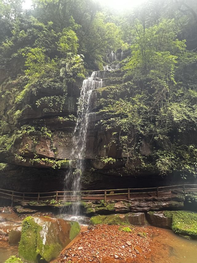 碧峰峡风景区旅行图片 5