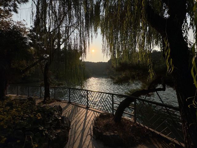 上海动物园旅行图片 1