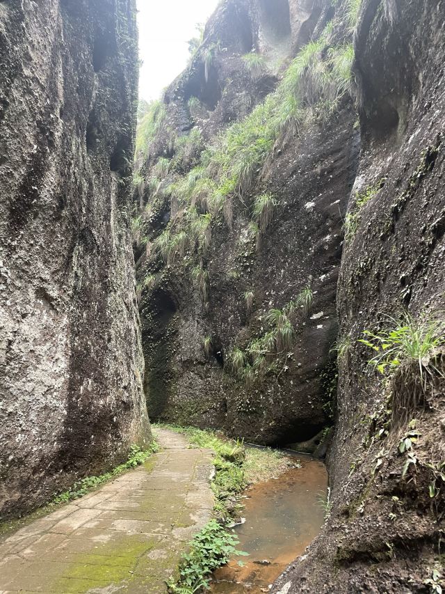 青龙岩风景区旅行图片 5