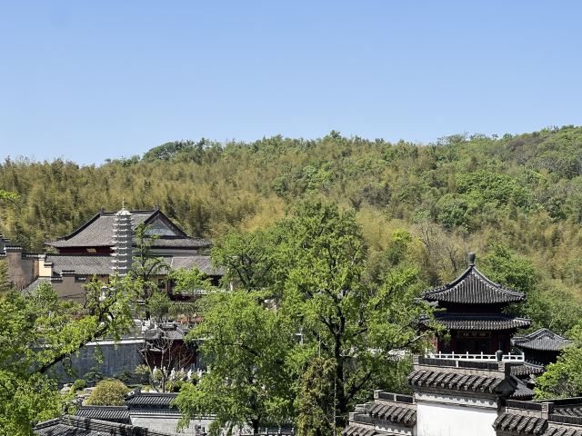 宝华山国家森林公园旅行图片 4