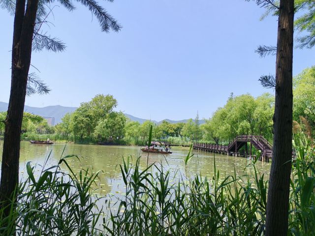 长兴太湖图影湿地文化园-观景塔旅行图片 7
