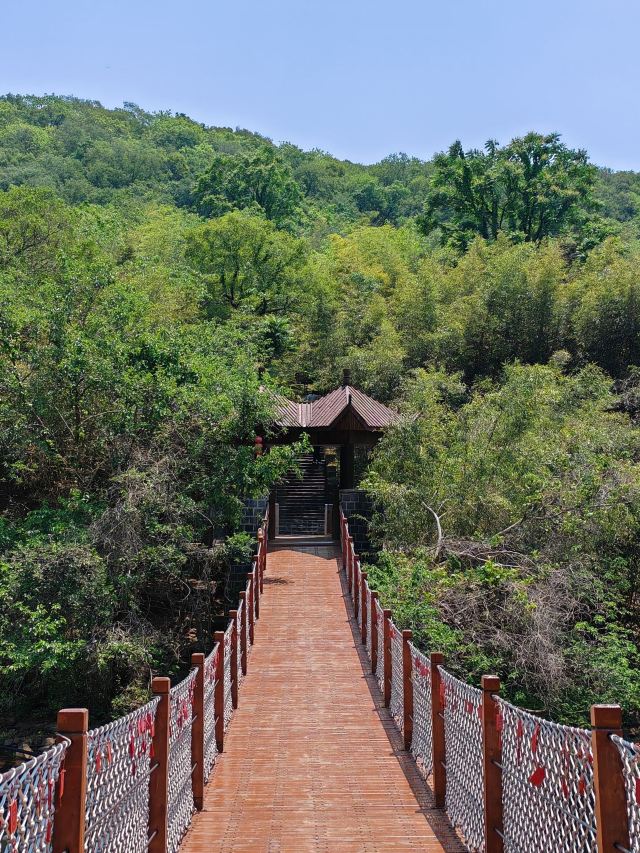 铁山寺国家森林公园旅行图片 2