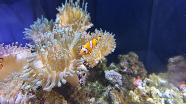 海蓝星梦幻城旅行图片 1