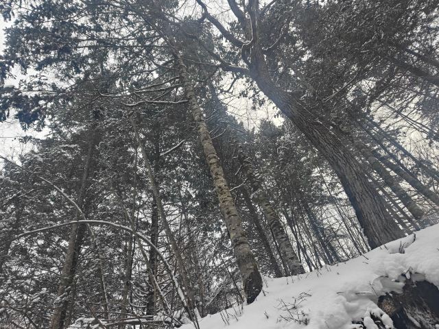 长白山西麓白溪全域漂流风景区旅行图片 3