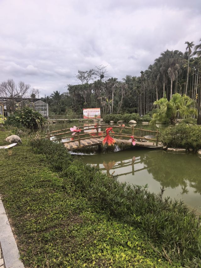 七仙岭全球热带水果博览中心旅行图片 3