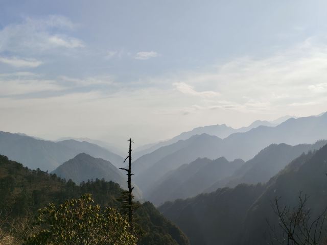 王岗坪旅游景区-露营区旅行图片 4