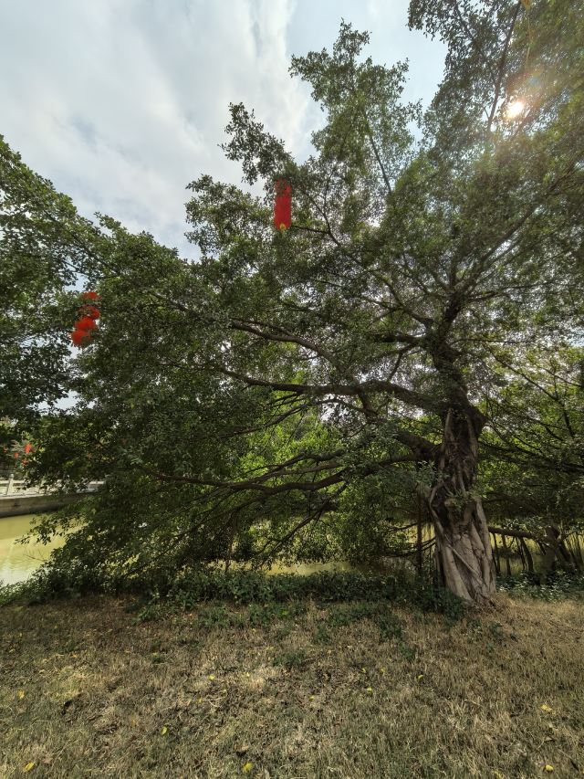 小鸟天堂旅行图片 3