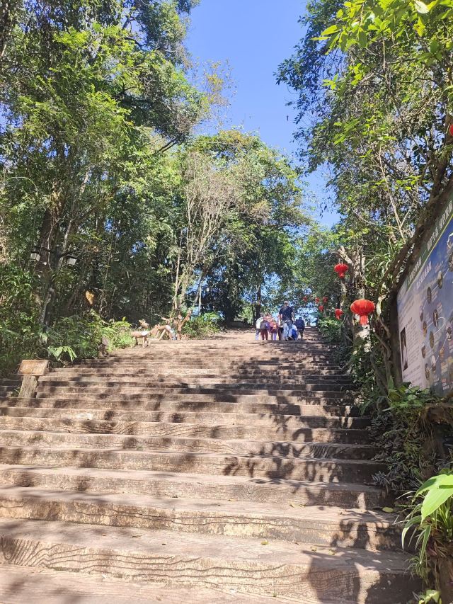 普洱太阳河森林公园旅行图片 3