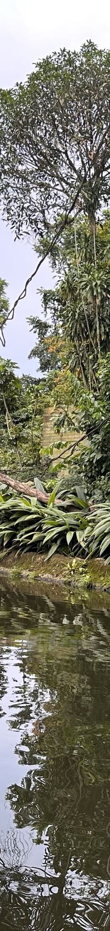 新加坡动物园-新加坡-敦刻尔克司马师