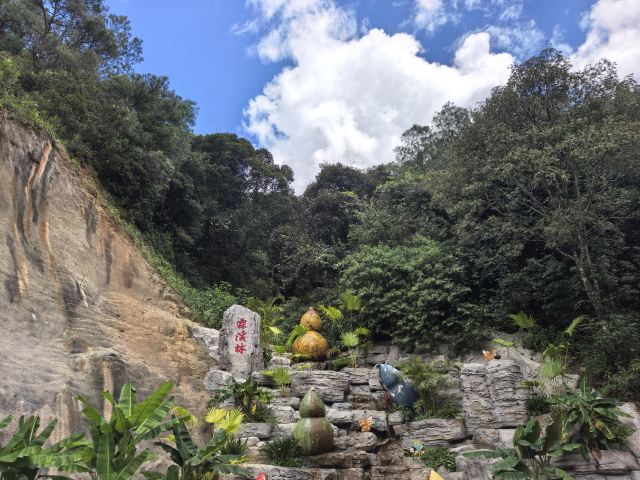 霖溪林风景区旅行图片 3
