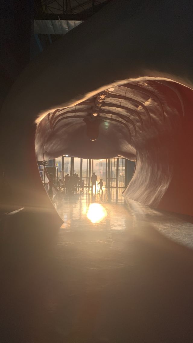 福州欧乐堡海洋世界旅行图片 9