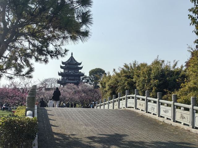 上海海湾国家森林公园旅行图片 2