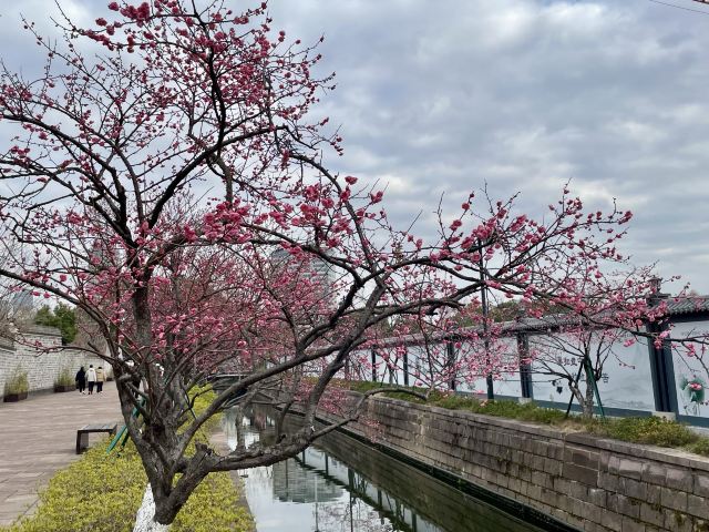 慈城古县城旅行图片 4