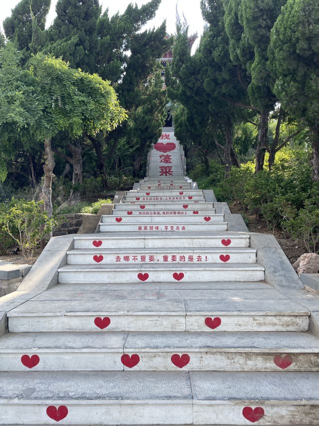 蓬莱阁景区旅行图片 6