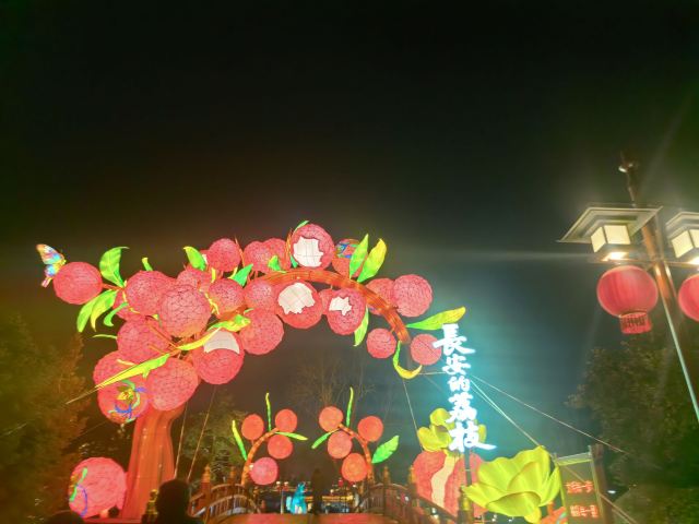 大唐芙蓉园旅行图片 2
