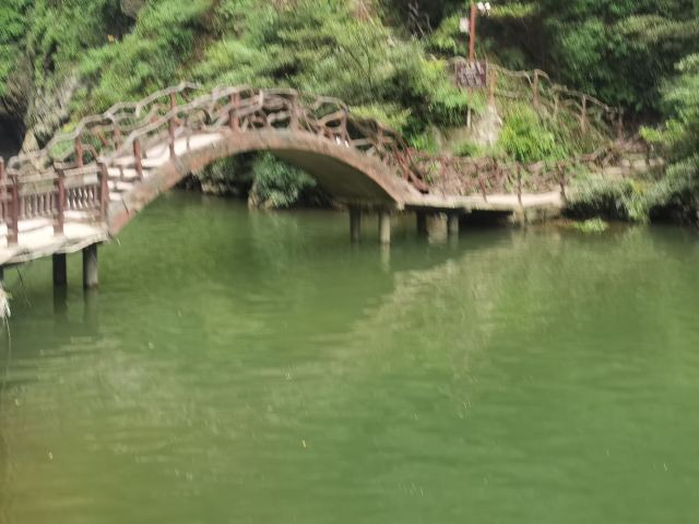 洒金公园旅行图片 4