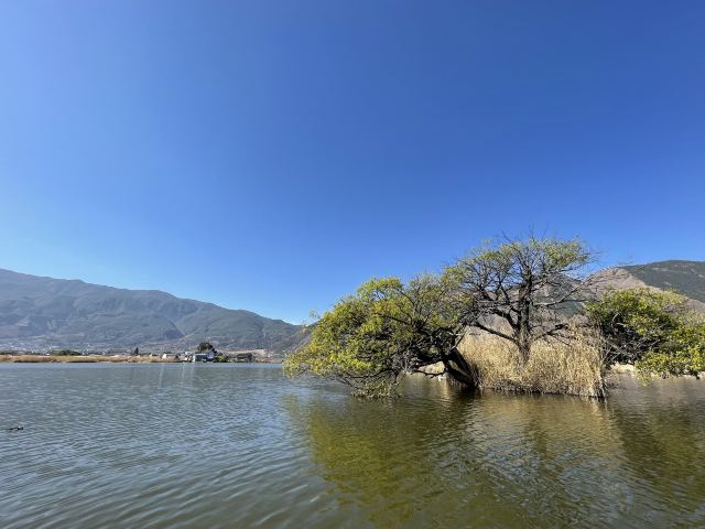 大理西湖旅行图片 3