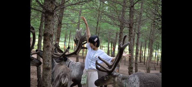 乌兰布统达瓦鄂温克驯鹿部落旅行图片 2