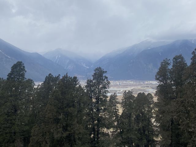 世界柏树王园林风景区旅行图片 2