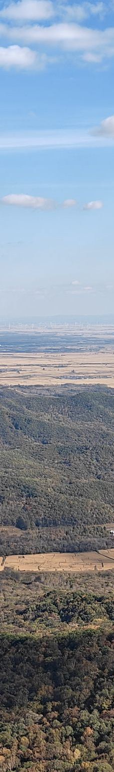 铧子山森林公园-通河-YoYo_0Z9T7U6N