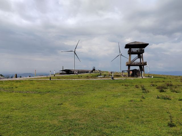 龙里油画大草原旅行图片 2