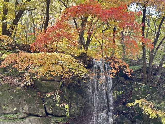 大冰沟国家地质森林公园旅行图片 1