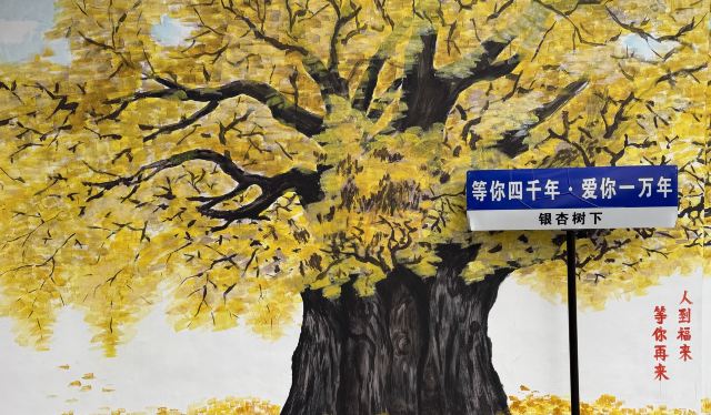 浮来山风景区旅行图片 1