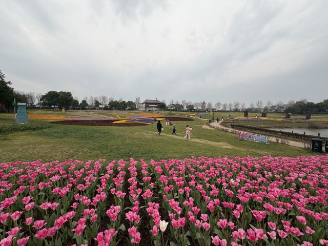 武汉花博汇旅行图片 1