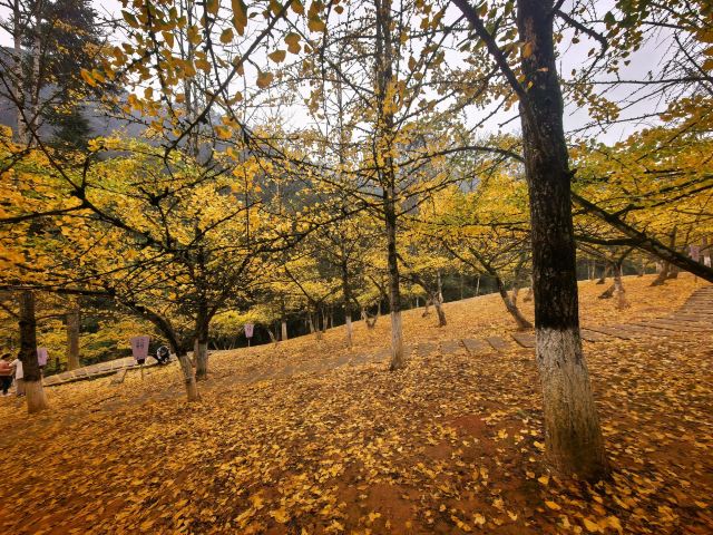 南雄帽子峰旅游景区旅行图片 4