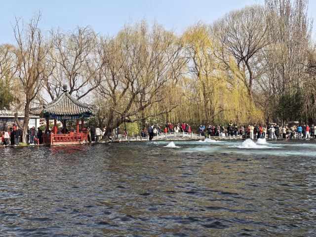 清照泉城·明水古城国际泉水旅游度假区旅行图片 2