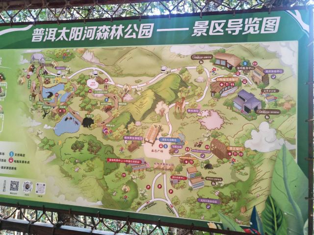 普洱太阳河森林公园旅行图片 3