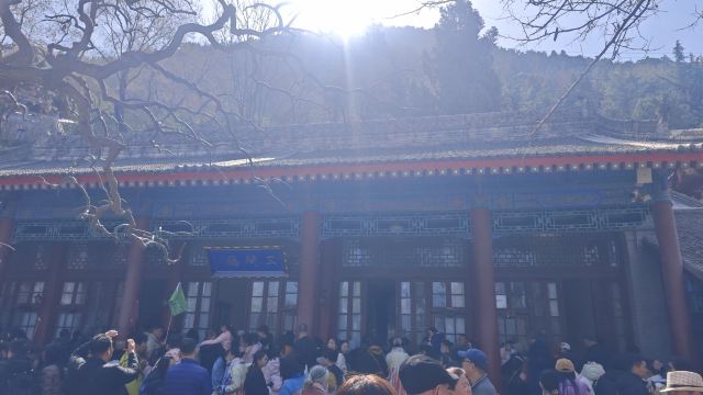秦始皇帝陵博物院旅行图片 2