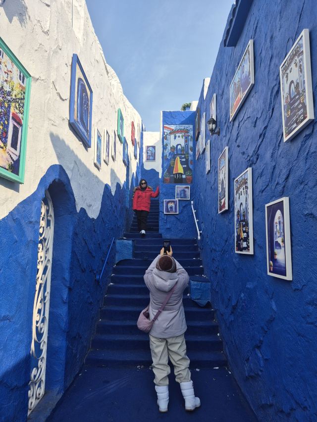 哈尔滨极地公园旅行图片 1