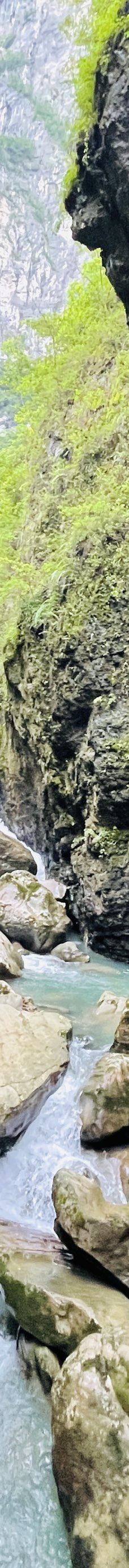 鹿院坪-恩施市-YoYo_0V3X5U7C