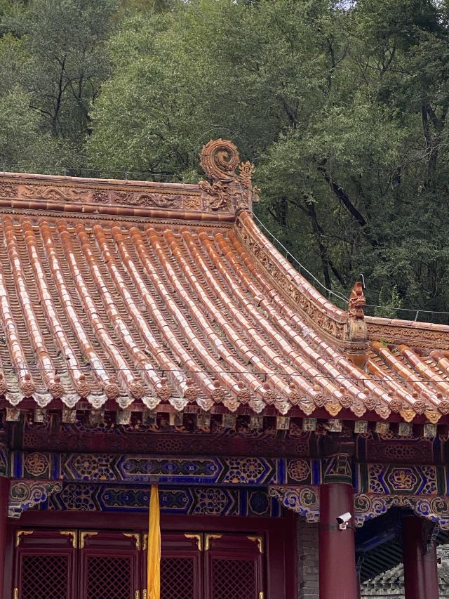 清永陵旅行图片 2