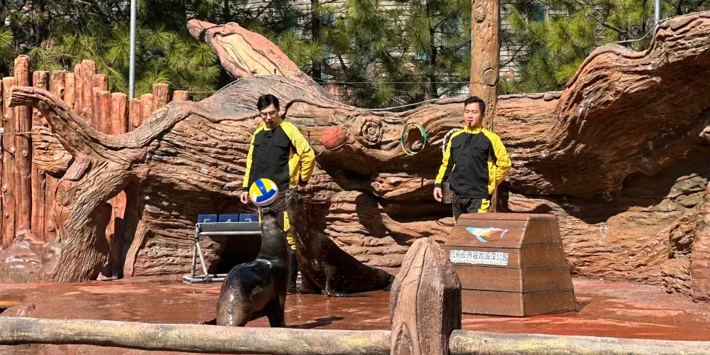 永安旅遊