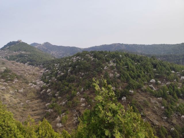 白羊峪长城旅游区旅行图片 5