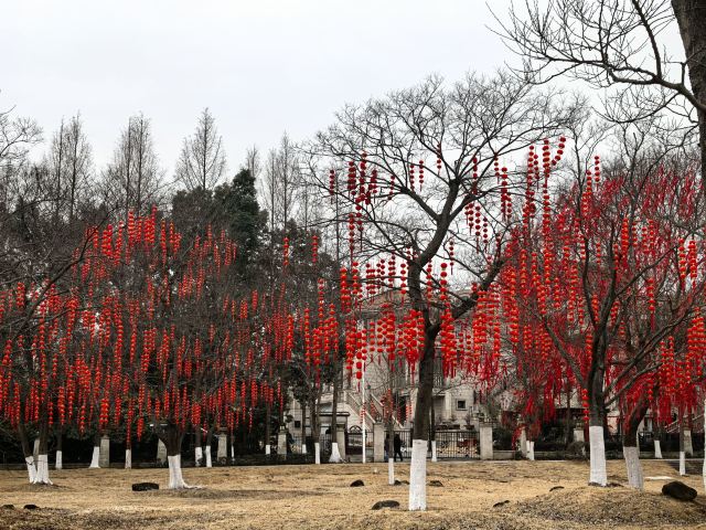 南京珍珠泉风景区旅行图片 3