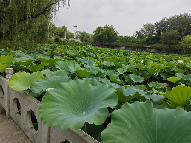 宝泉胜境旅游度假区旅行图片 3