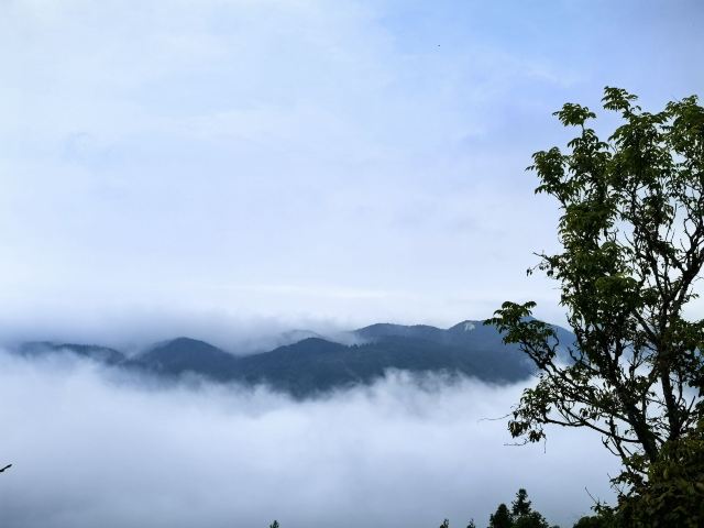 武陵山国家森林公园旅行图片 9