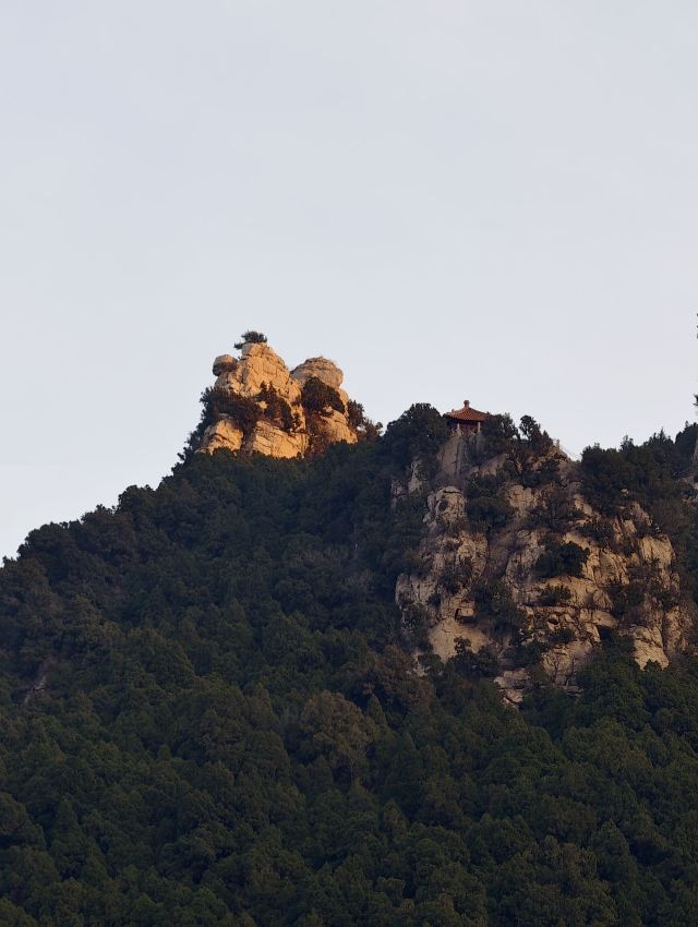 灵岩寺景区旅行图片 9