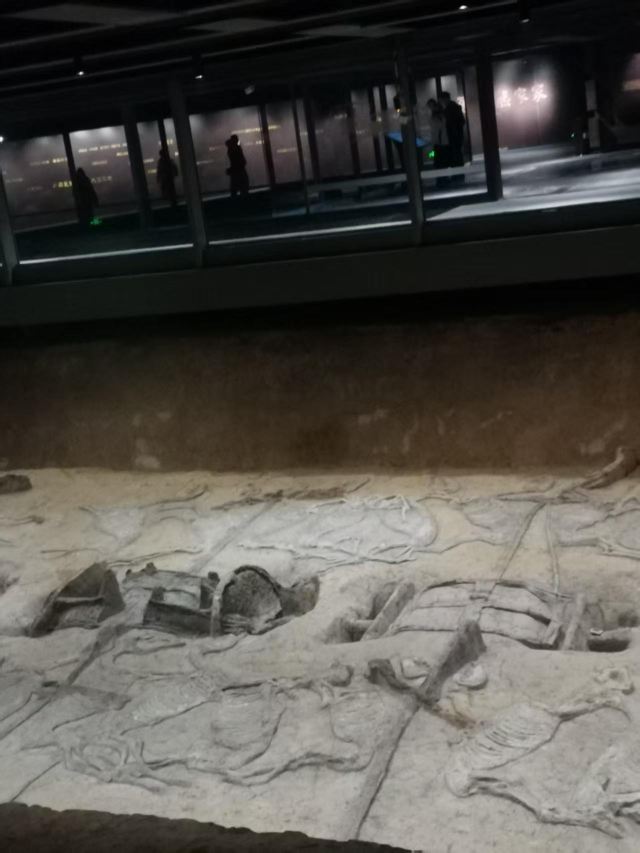 楚王车马阵景区旅行图片 1