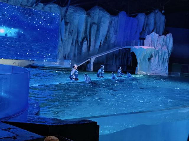 哈尔滨极地公园旅行图片 1