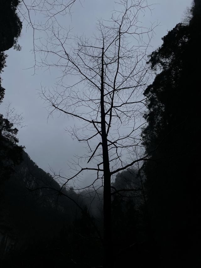 武隆喀斯特旅游区旅行图片 7