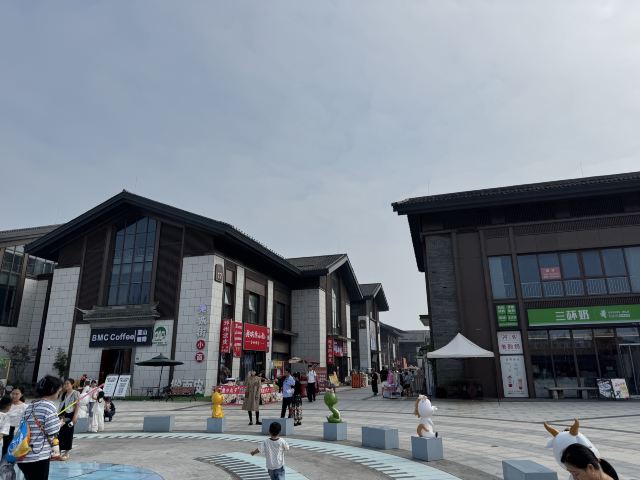 皂河龙运城旅行图片 6