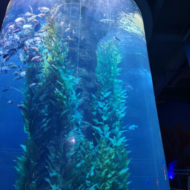 福州欧乐堡海洋世界旅行图片 3