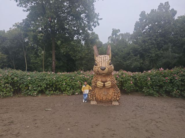 成都植物园旅行图片 1